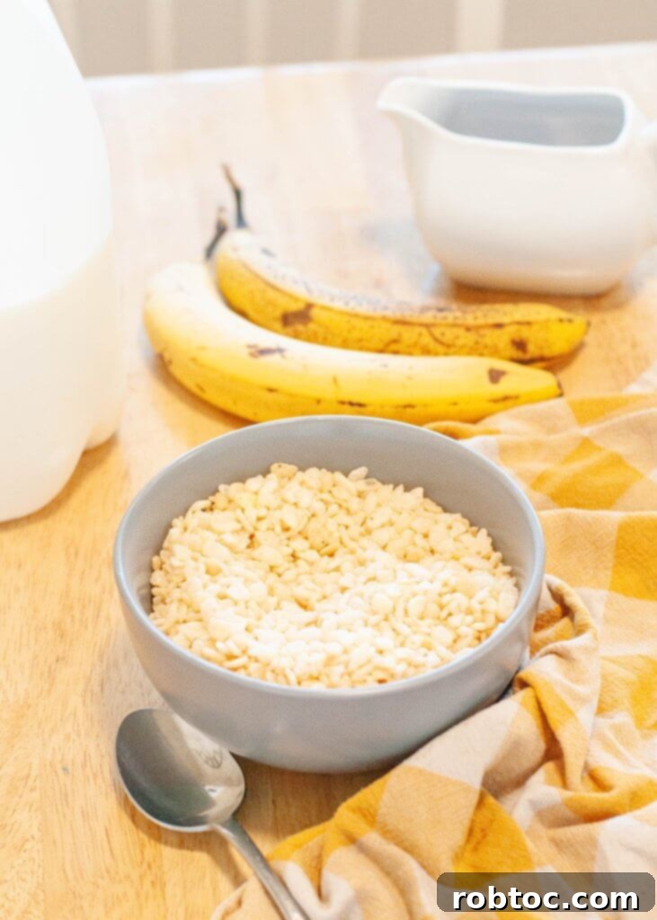 Explore 90 Varieties of Delicious Gluten-Free Cereals 3 what-cereals-are-gluten-free