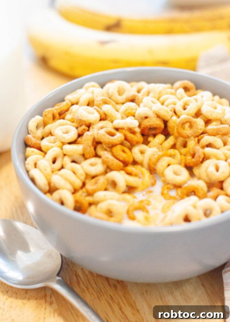 Explore 90 Varieties of Delicious Gluten-Free Cereals 4 what-cereals-are-safe-for-celiacs