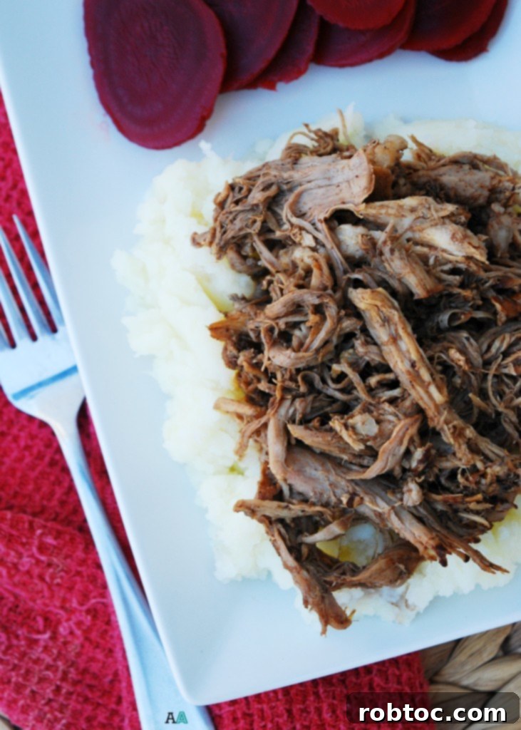 Delicious Slow Cooked Balsamic Pork Gluten Dairy Egg and Nut Free 3 Shredded Slow Cooker Balsamic Pork, close-up
