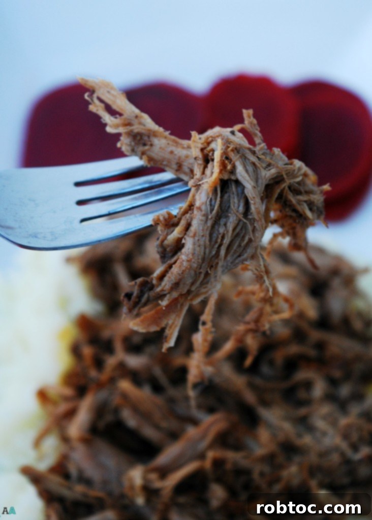 Delicious Slow Cooked Balsamic Pork Gluten Dairy Egg and Nut Free 5 Slow Cooker Balsamic Pork shredded for an allergy-friendly meal