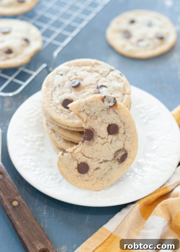 Your New Favorite Gluten-Free Dairy-Free Chocolate Chip Cookies 2 gluten-free-dairy-free-chocolate-chip-cookies-stacked-with-one-bite-taken