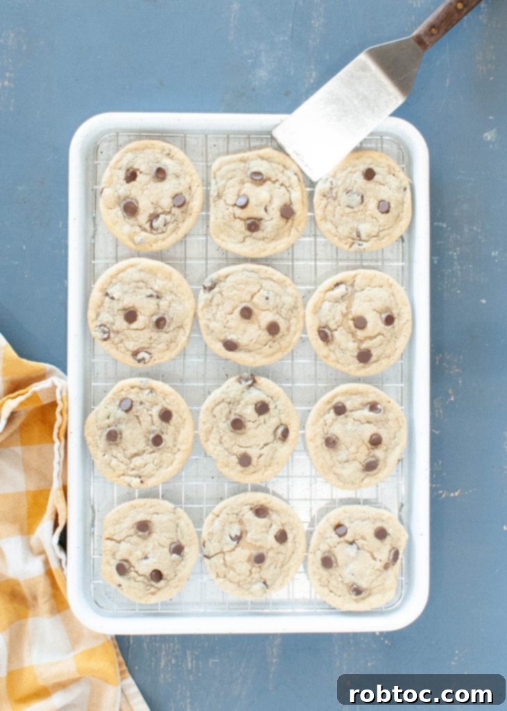 Your New Favorite Gluten-Free Dairy-Free Chocolate Chip Cookies 3 a dozen gluten-free-dairy-free-chocolate-chip-cookies on a baking sheet shot from above