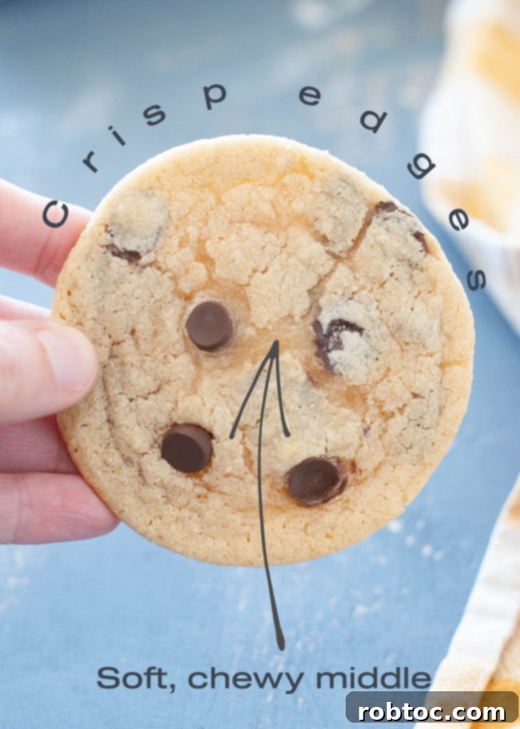 Your New Favorite Gluten-Free Dairy-Free Chocolate Chip Cookies 4 crisp-edges-chewy-center-chocolate-chip-cookies-close-up-photo