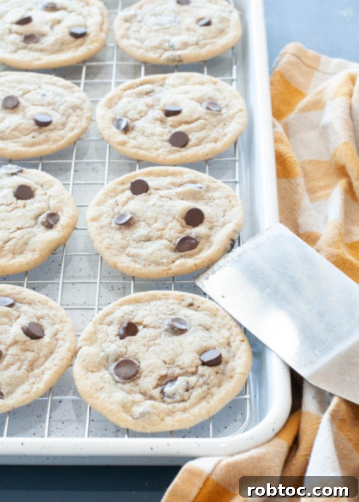 Your New Favorite Gluten-Free Dairy-Free Chocolate Chip Cookies 7 gluten-free-dairy-free-chocolate-chip-on-a-baking-sheet-shot-from-the-edge