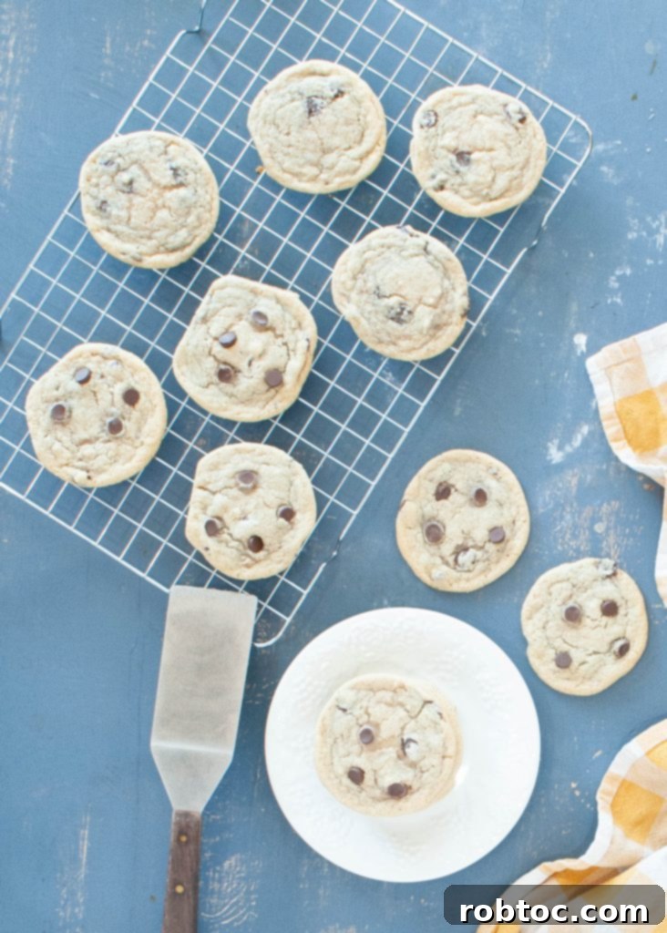 Your New Favorite Gluten-Free Dairy-Free Chocolate Chip Cookies 8 gluten-free-dairy-free-chocolate-chip-cookies-spread-out-on-a-wire-cooling-wrack-shot-from-above