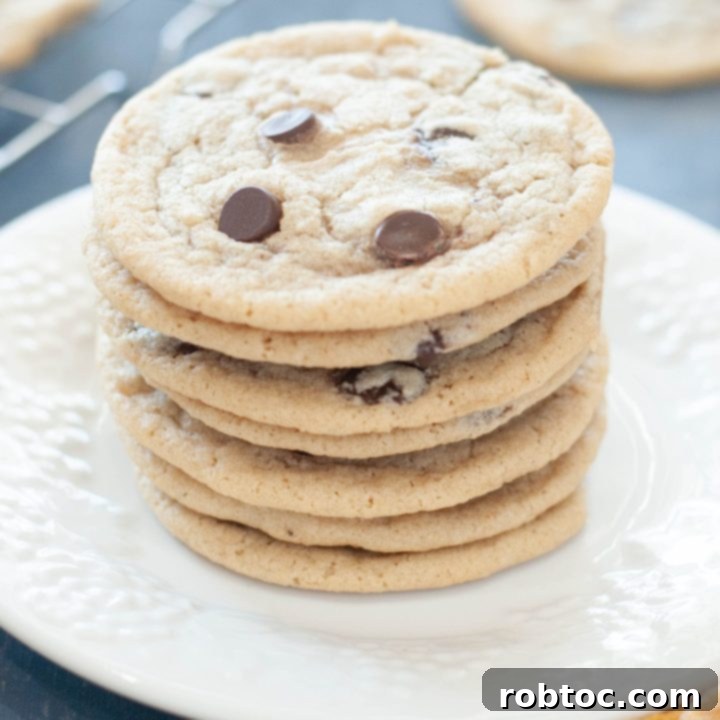 stack-of-gluten-free-dairy-free-chocolate-chip-cookies-on-a-white-plate