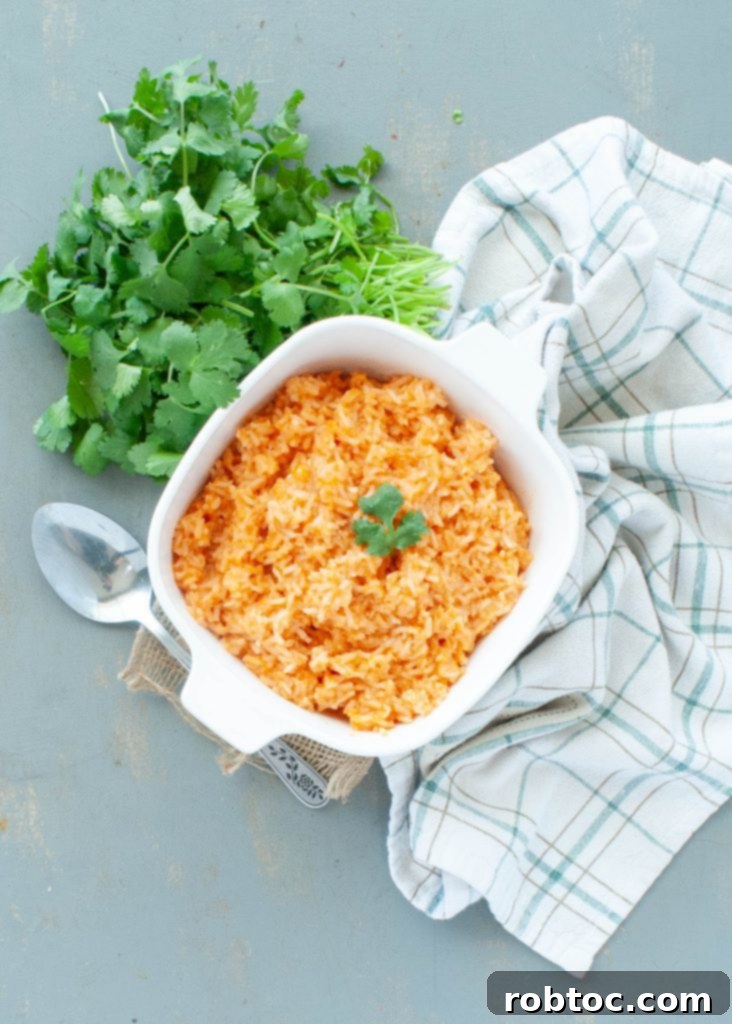 Gluten Free Dairy Free Mexican Rice Video Recipe 4 Overhead shot of gluten-free, dairy-free Mexican rice garnished with fresh cilantro, showcasing its vibrant color and texture.