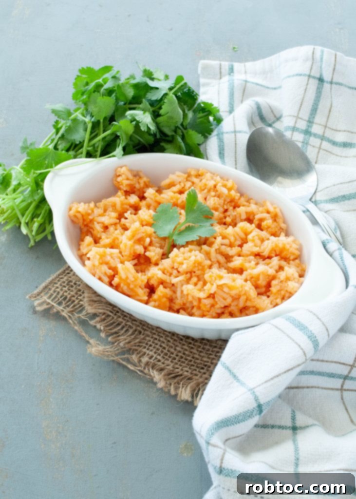 Gluten Free Dairy Free Mexican Rice Video Recipe 5 A vibrant, close-up view of perfectly cooked gluten-free, dairy-free Mexican rice.