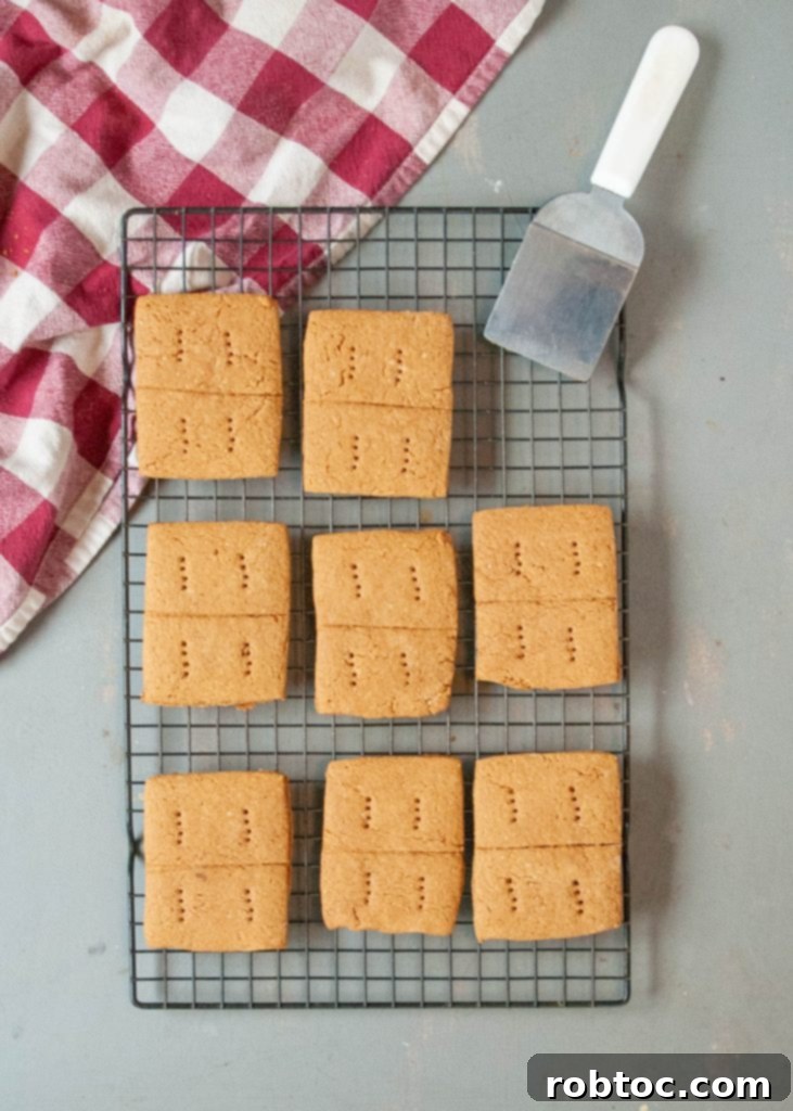 Easy Homemade Gluten-Free Graham Crackers 3 how-to-make-gluten-free-graham-crackers