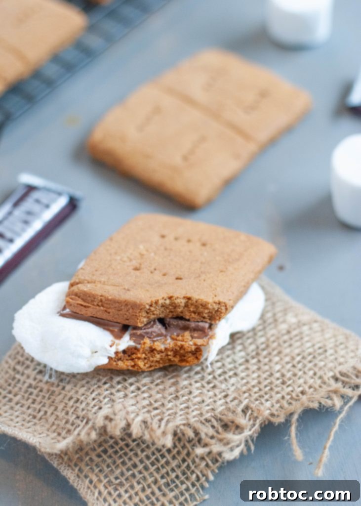 Easy Homemade Gluten-Free Graham Crackers 7 how-to-make-a-gluten-free-dairy-free-smore