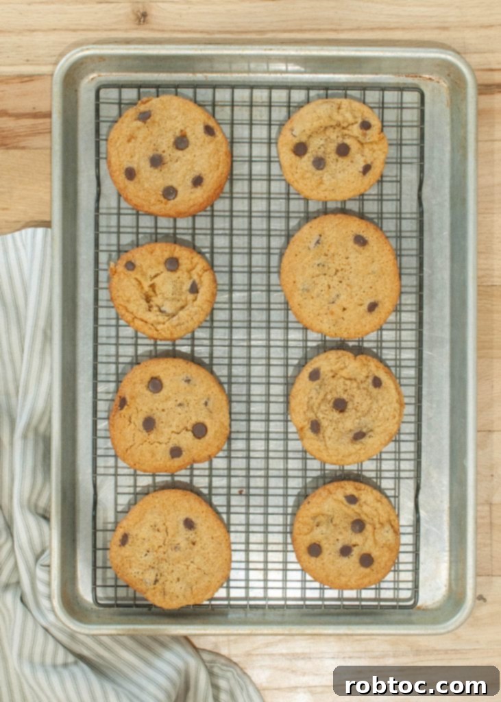 Close-up of baked almond flour chocolate chip cookies on a cooling rack.