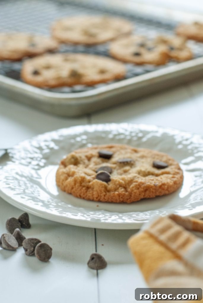 Close-up of freshly baked chewy almond flour chocolate chip cookies.