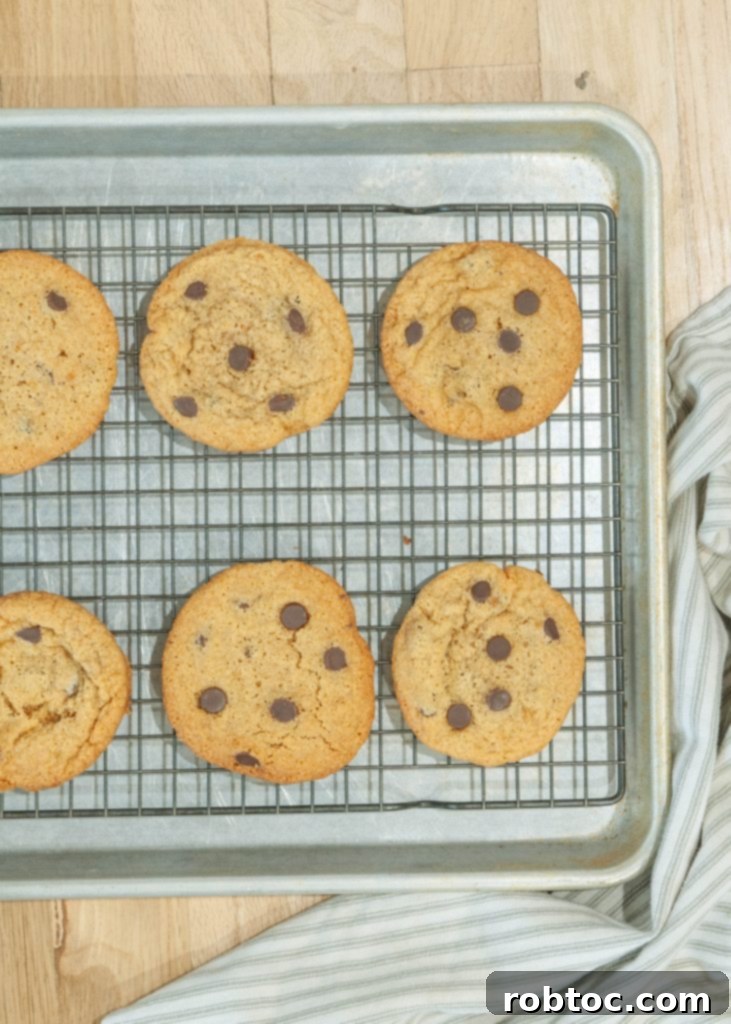 Paleo-friendly almond flour chocolate chip cookies, a healthier dessert option.