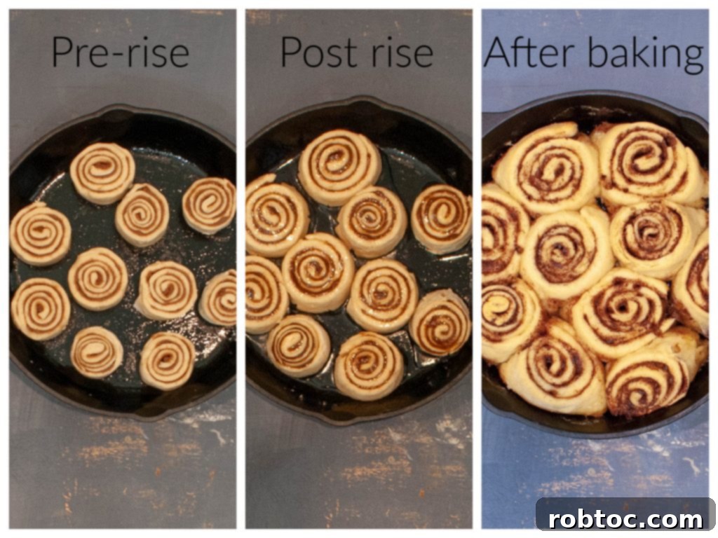 what-gluten-free-cinnamon-rolls-look-like-after-rising-comparison-photo