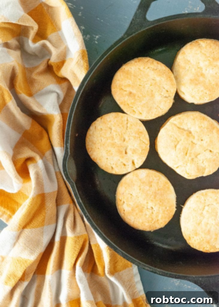 gluten-free-biscuits-in-a-cast-iron-skillet-from-above