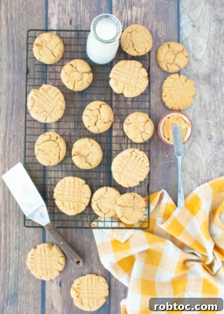 Easy Gluten-Free Peanut Butter Cookies 3 An overhead shot of numerous gluten-free peanut butter cookies arranged neatly on a wire cooling rack, highlighting their uniform size and inviting golden color.