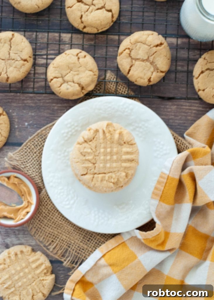 Easy Gluten-Free Peanut Butter Cookies 5 A single gluten-free peanut butter cookie beautifully presented on a white plate, viewed from directly above, highlighting its texture and golden hue.