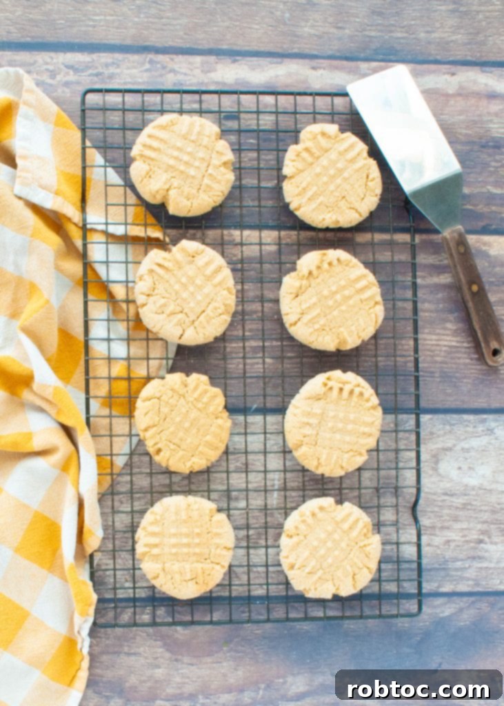 Easy Gluten-Free Peanut Butter Cookies 6 A neat arrangement of eight soft gluten-free peanut butter cookies on a wire cooling rack, ready to be enjoyed.