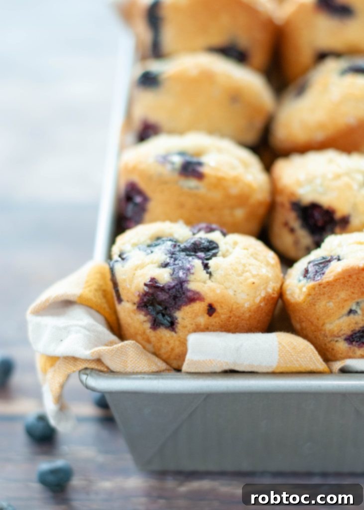 Bake Irresistible Gluten-Free Blueberry Muffins Video Guide 2 gluten-free-blueberry-muffins-in-a-basket
