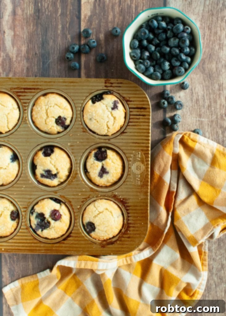 Bake Irresistible Gluten-Free Blueberry Muffins Video Guide 3 gluten-free-muffins-in-a-tin-shot-overhead-with-blueberries-spilled