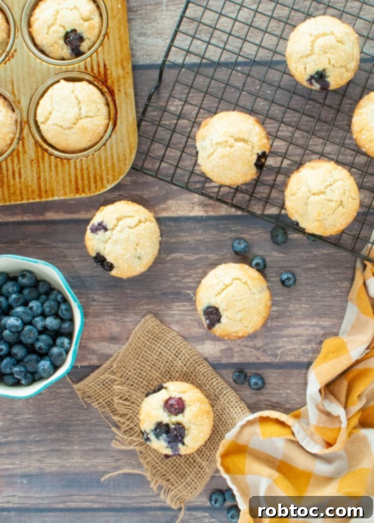 Bake Irresistible Gluten-Free Blueberry Muffins Video Guide 4 scattered-blueberry-muffins-and-blueberries-shot-overhead