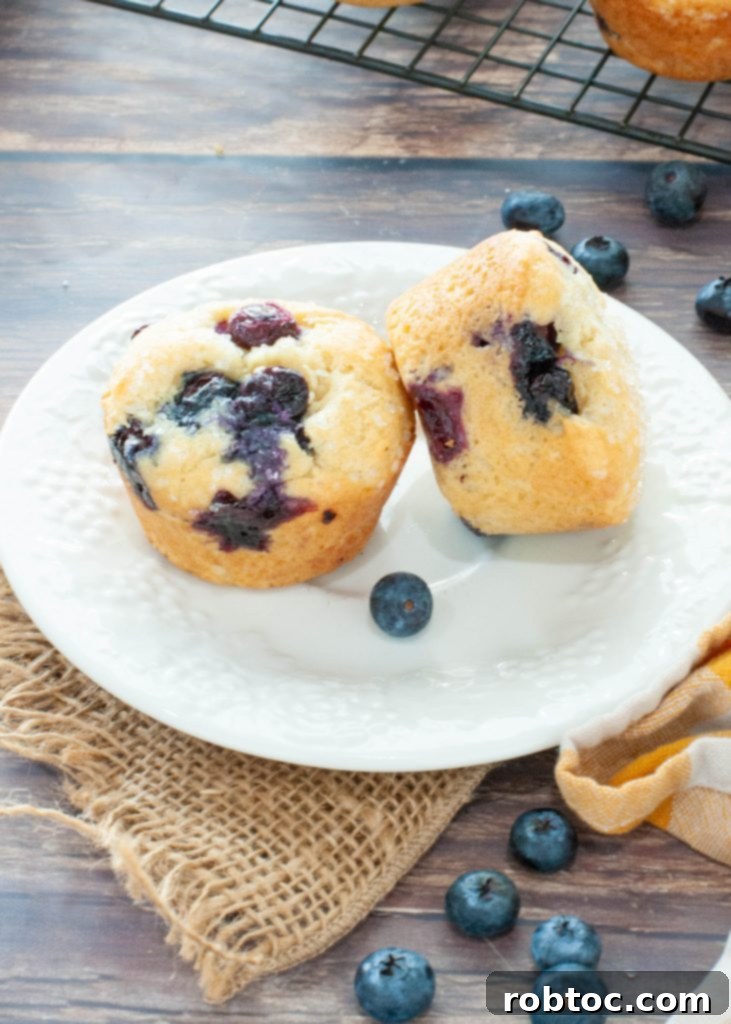 Bake Irresistible Gluten-Free Blueberry Muffins Video Guide 5 two-gluten-free-blueberry-muffins-on-a-plate