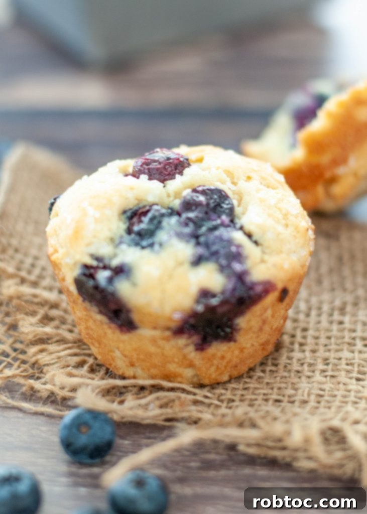 Bake Irresistible Gluten-Free Blueberry Muffins Video Guide 6 gluten-free-blueberry-muffin-up-close
