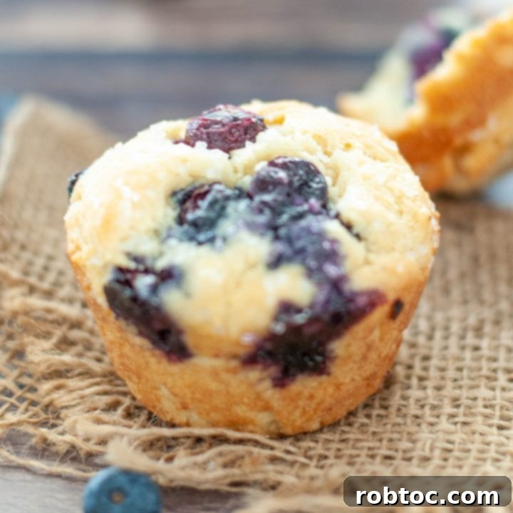 gluten-free-blueberry-muffin-up-close