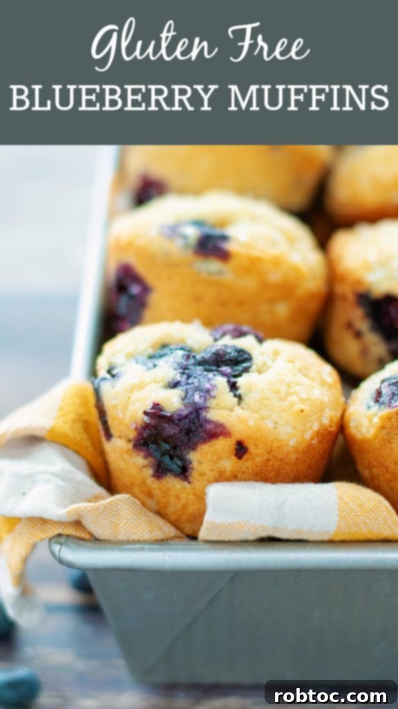 Bake Irresistible Gluten-Free Blueberry Muffins Video Guide 9 gluten-free-blueberry-muffin-recipe-by-allergy-awesomeness-pinterest-image