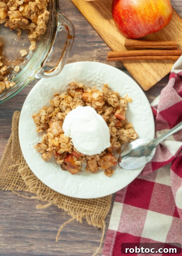 Quick and Easy Gluten Free Apple Crisp 2 Delicious gluten-free apple crisp with creamy vanilla ice cream on top, captured from a direct overhead view on a white plate, showcasing its golden crumble.
