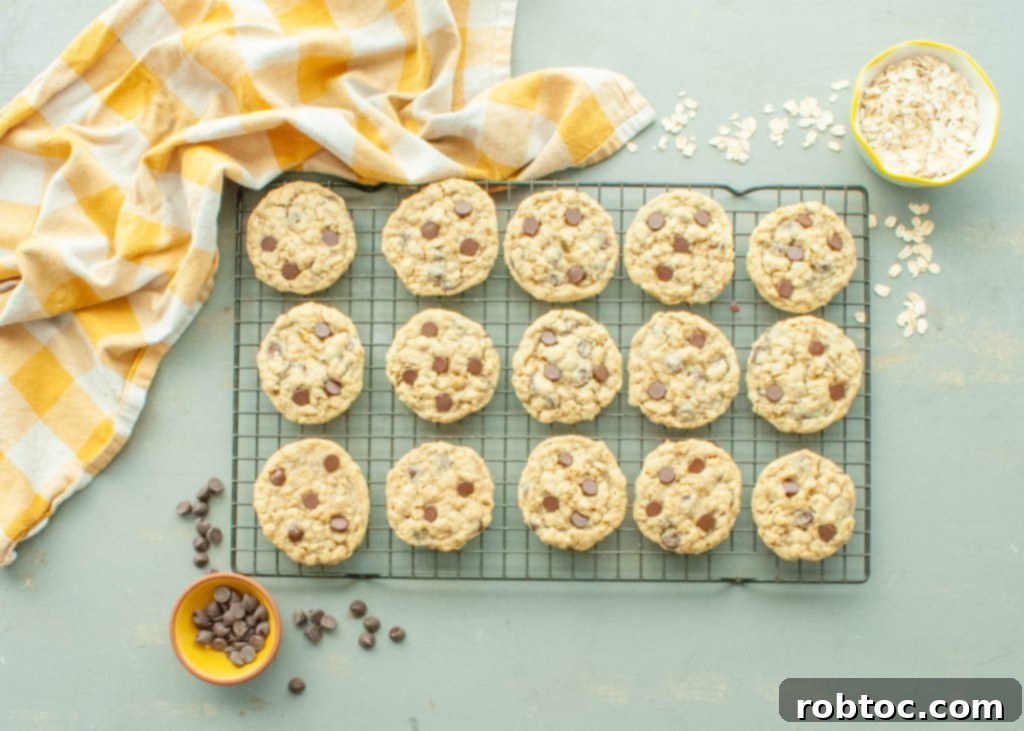 a-dozen-gluten-free-oatmeal-cookies-on-a-cooling-wrack-from-above