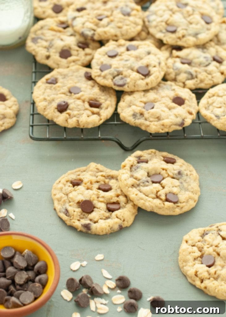 gluten-free-oatmeal-chocolate-chip-cookies-scattered