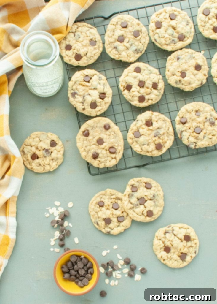 gluten-free-oatmeal-cookies-from-above-scattered-on-wire-cooling-rack