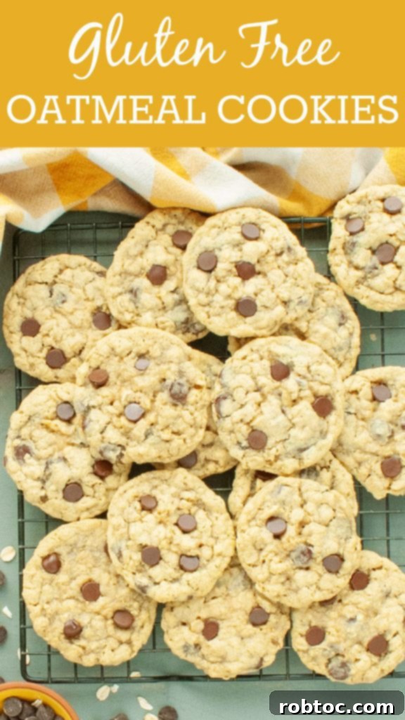 gluten-free-oatmeal-cookie-recipe-by-allergy-awesomeness-pinterest-image