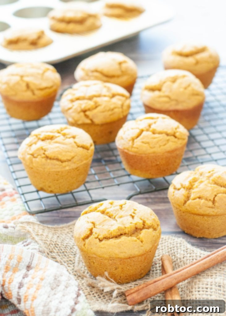 gluten-free-pumpkin-muffins-scattered