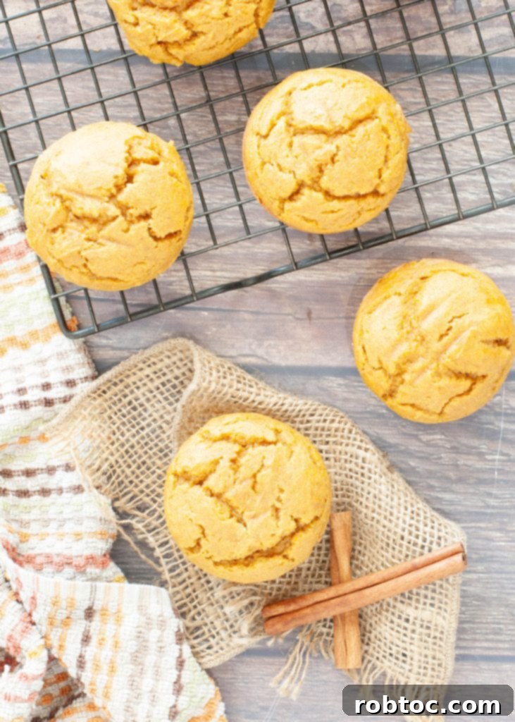 four-gluten-free-pumpkin-muffins-from-overhead