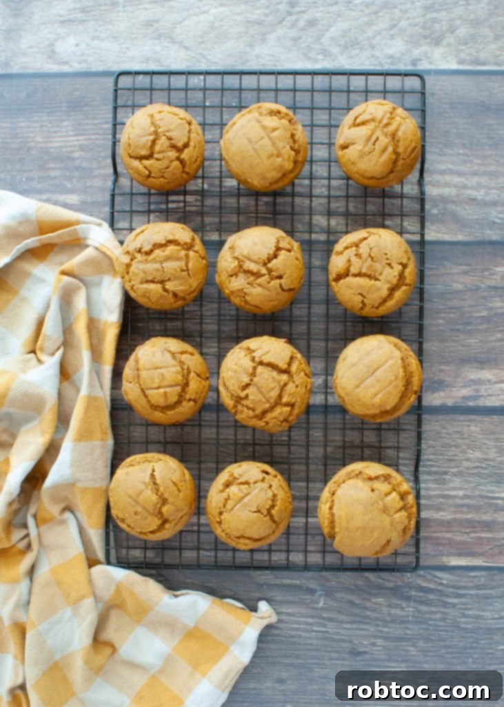 overhead-shot-of-12-gluten-free-pumpkin-muffins-on-a-cooling-wrack