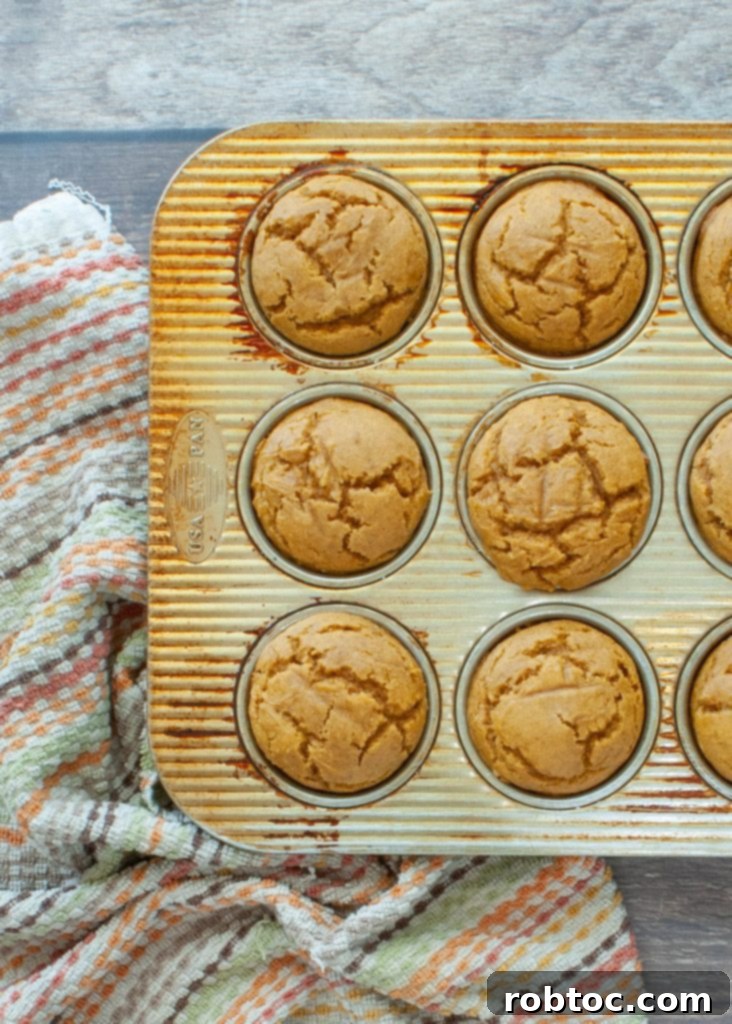 half-dozen-gluten-free-pumpkin-muffins-in-a-muffin-tin-overhead