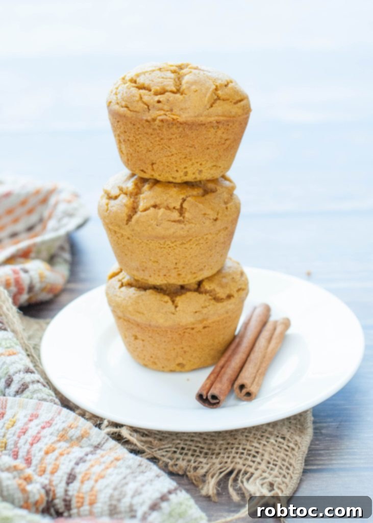 3-gluten-free-pumpkin-muffins-stacked