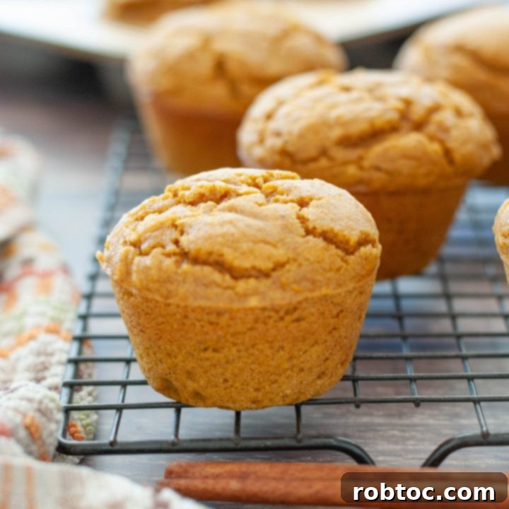gluten-free-pumpkin-muffins-with-cinnamon-sticks-on-a-cooling-wrack