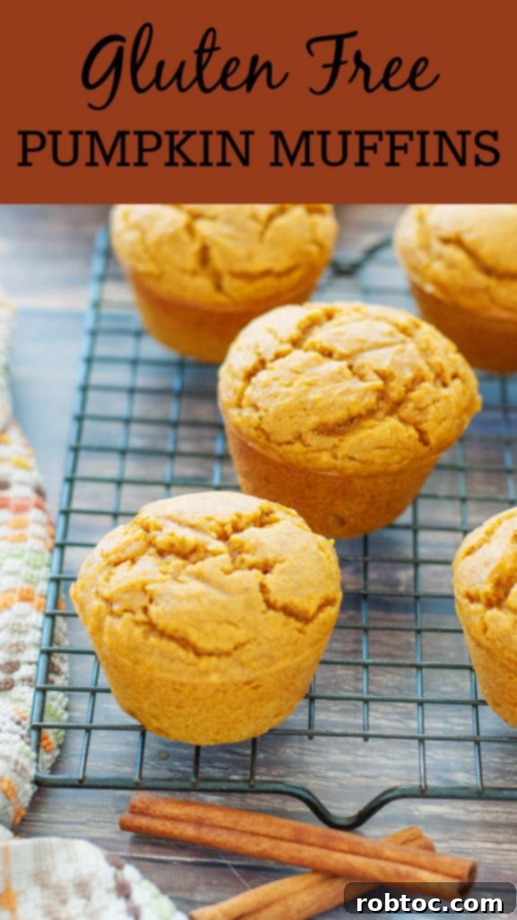 gluten-free-pumpkin-muffin-recipe-by-allergy-awesomeness-pinterest-pin