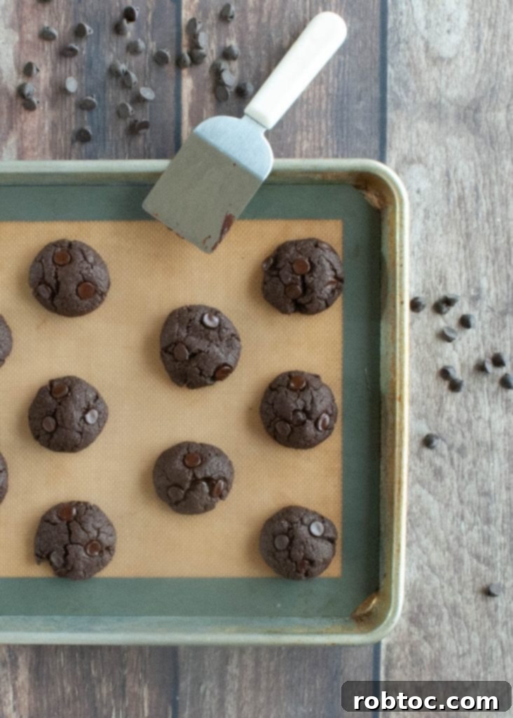 Ultimate Gluten Free Vegan Double Chocolate Cookies Top 8 Allergen Free 2 Delicious gluten-free vegan double chocolate cookie recipe, perfect for satisfying cravings