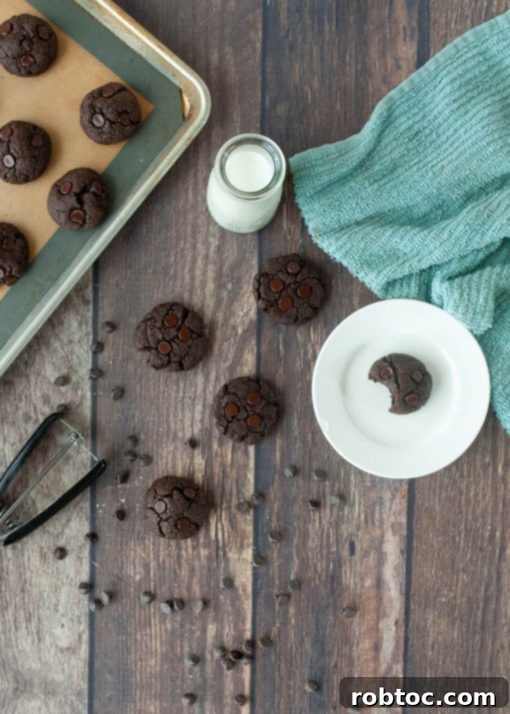 Ultimate Gluten Free Vegan Double Chocolate Cookies Top 8 Allergen Free 5 Gluten-free, dairy-free, and egg-free chocolate cookies ready to be enjoyed