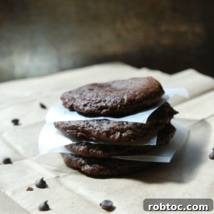 Gluten Free Vegan Double Chocolate Cookies