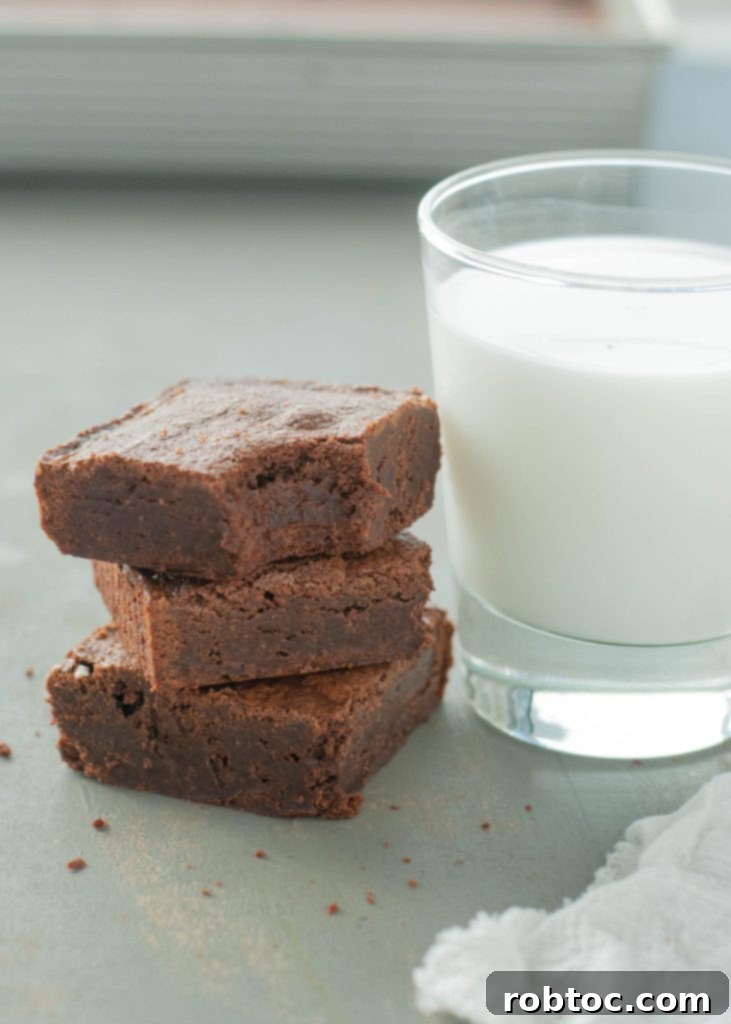 Fudgy Gluten-Free Dairy-Free Brownies 3 stack-of-three-gluten-free-dairy-free-brownies-by-a-glass-of-milk