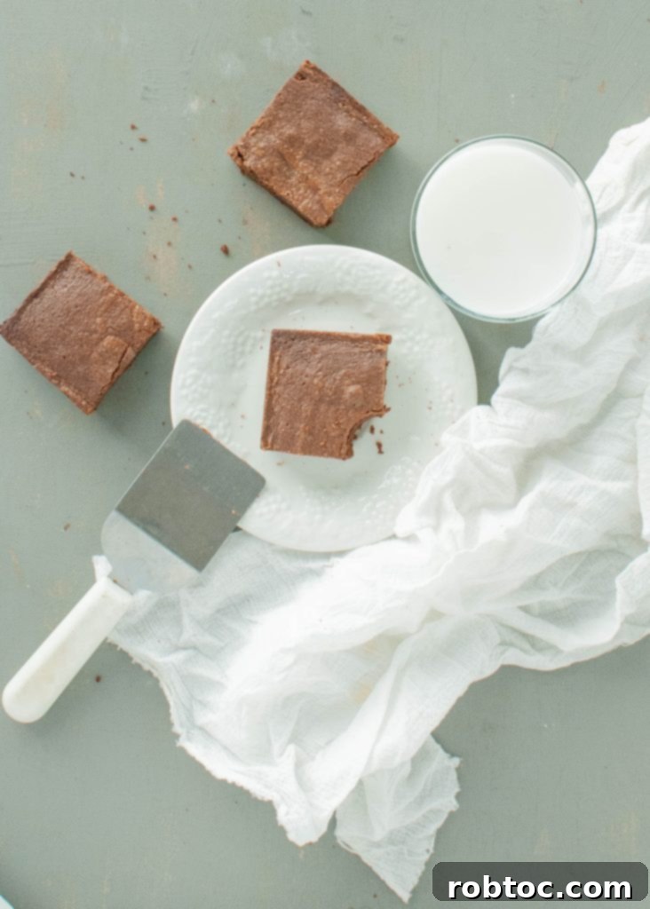 Fudgy Gluten-Free Dairy-Free Brownies 5 gluten-free-dairy-free-brownies-spread-out-from-an-over-head-shot