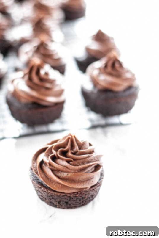 Velvet Smooth Dairy-Free Chocolate Frosting 3 Smooth Dairy-Free Chocolate Frosting on a Cake Slice