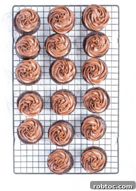 Velvet Smooth Dairy-Free Chocolate Frosting 4 The Best Dairy-Free Chocolate Frosting Piped on Cupcakes