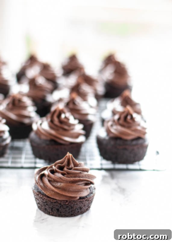 Velvet Smooth Dairy-Free Chocolate Frosting 6 Close-up of vegan chocolate frosting on a cupcake