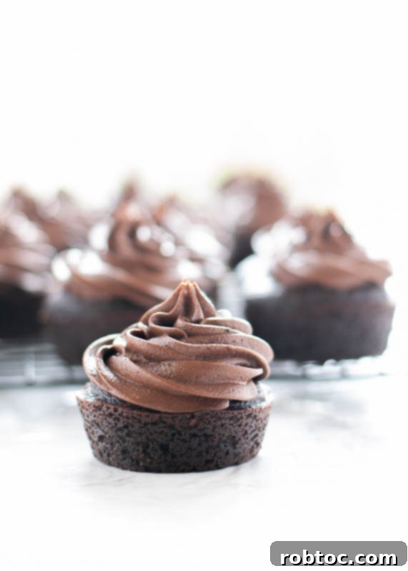 Velvet Smooth Dairy-Free Chocolate Frosting 8 Vegan Chocolate Buttercream on a dessert